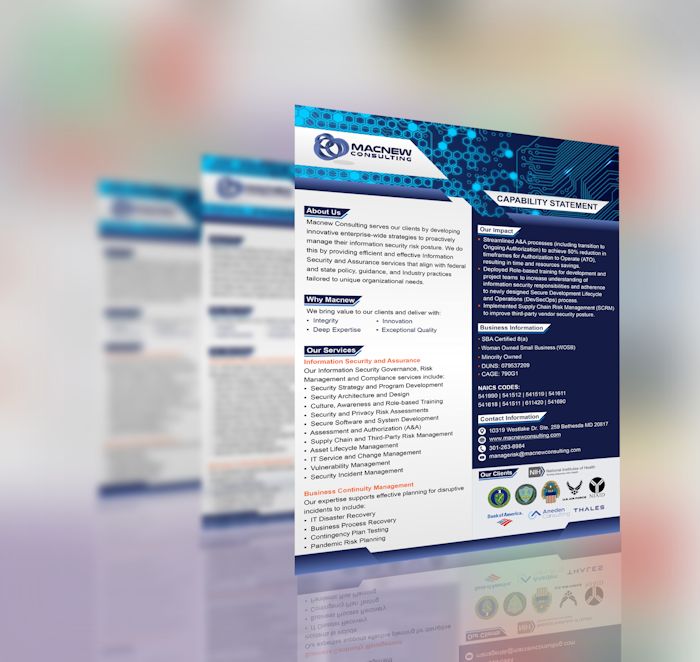 Professional capability statement layout