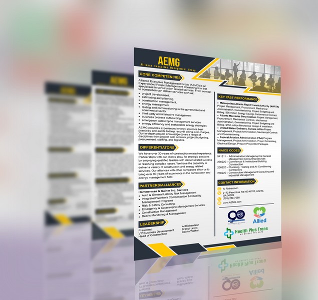 AEMG capability statement design