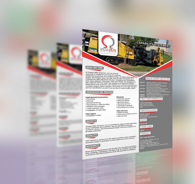 Omega capability statement design