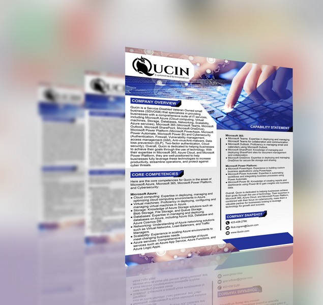 Professional custom capability statement